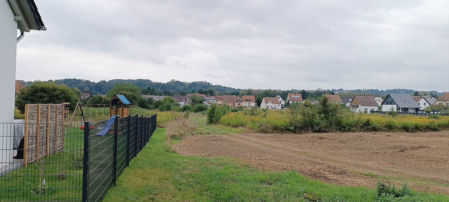 mimbach_2